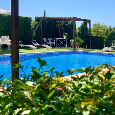 Torcales Del Lobo Apartamentos Rurales Pozo Alcón Екстериор снимка