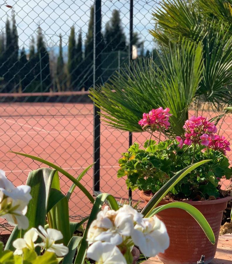 Torcales Del Lobo Apartamentos Rurales Pozo Alcón Екстериор снимка
